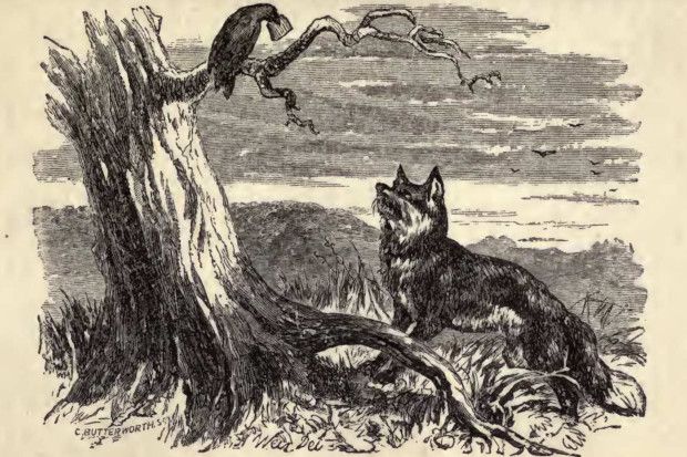 The Fox and the Crow
