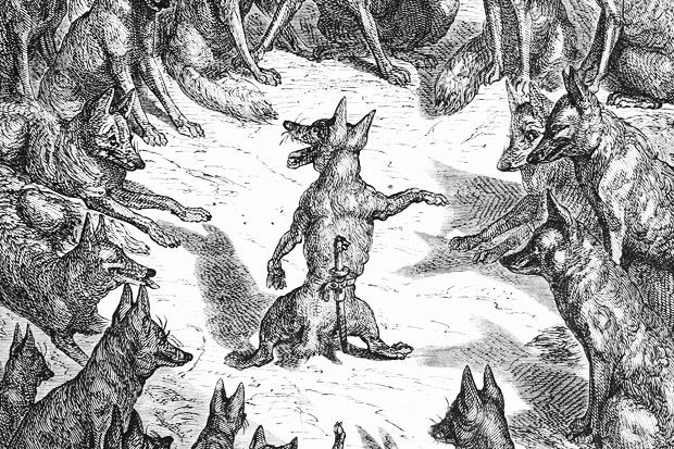 The Fox Without a Tail