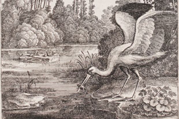 The Frogs Desiring a King